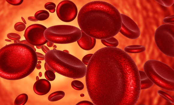 Red Blood Cells