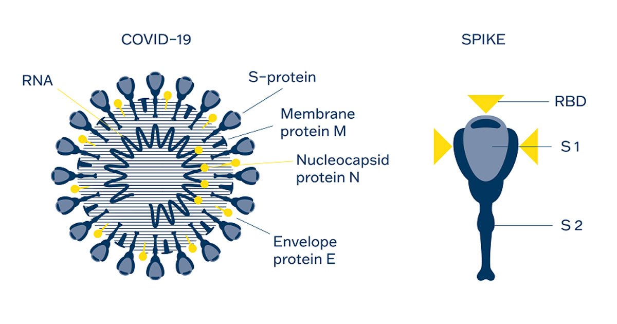 Are you detecting neutralising SARS-CoV-2 antibodies?