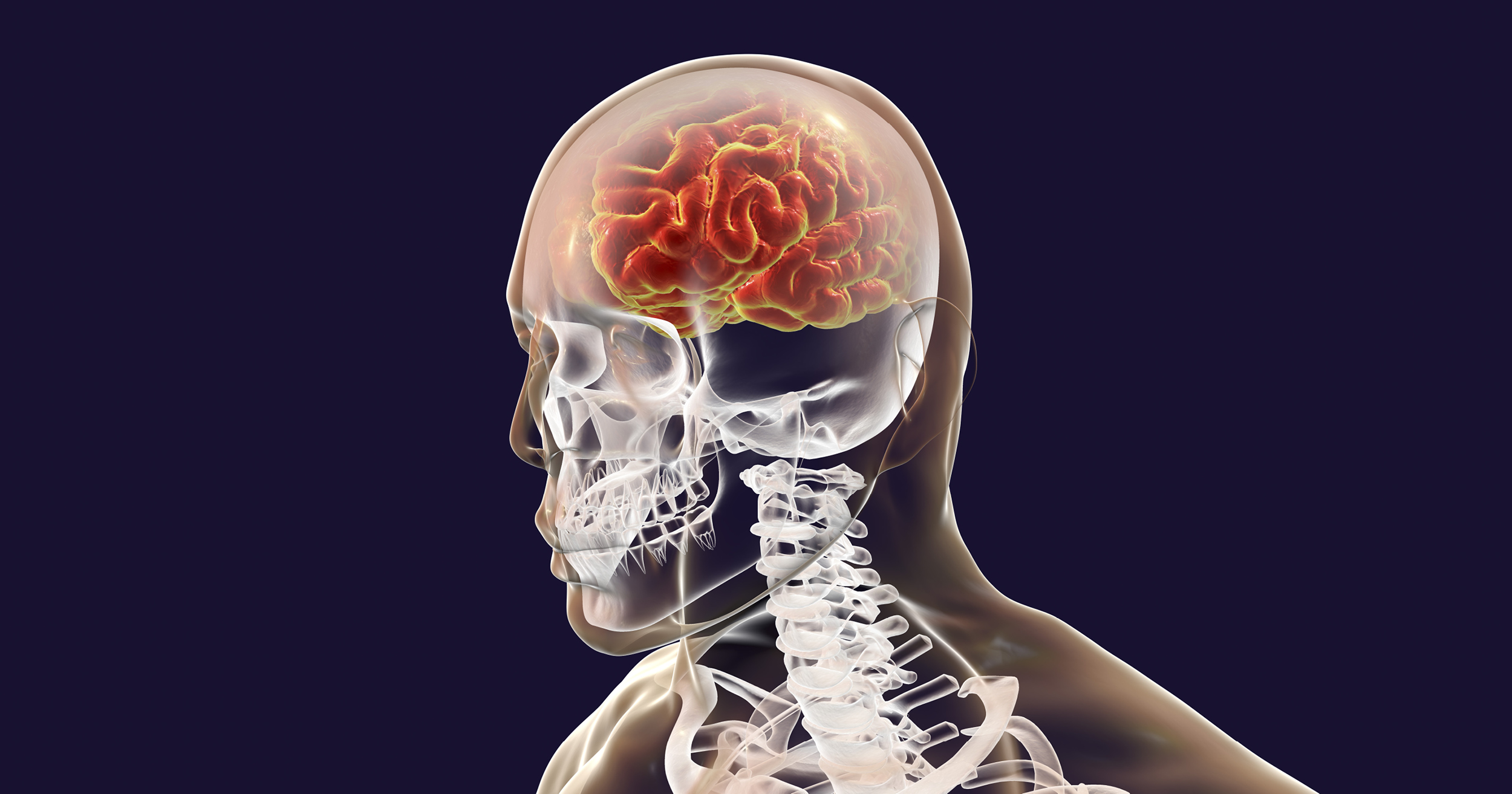 Using blood biomarkers to study the link between Alzheimer’s disease and Obesity