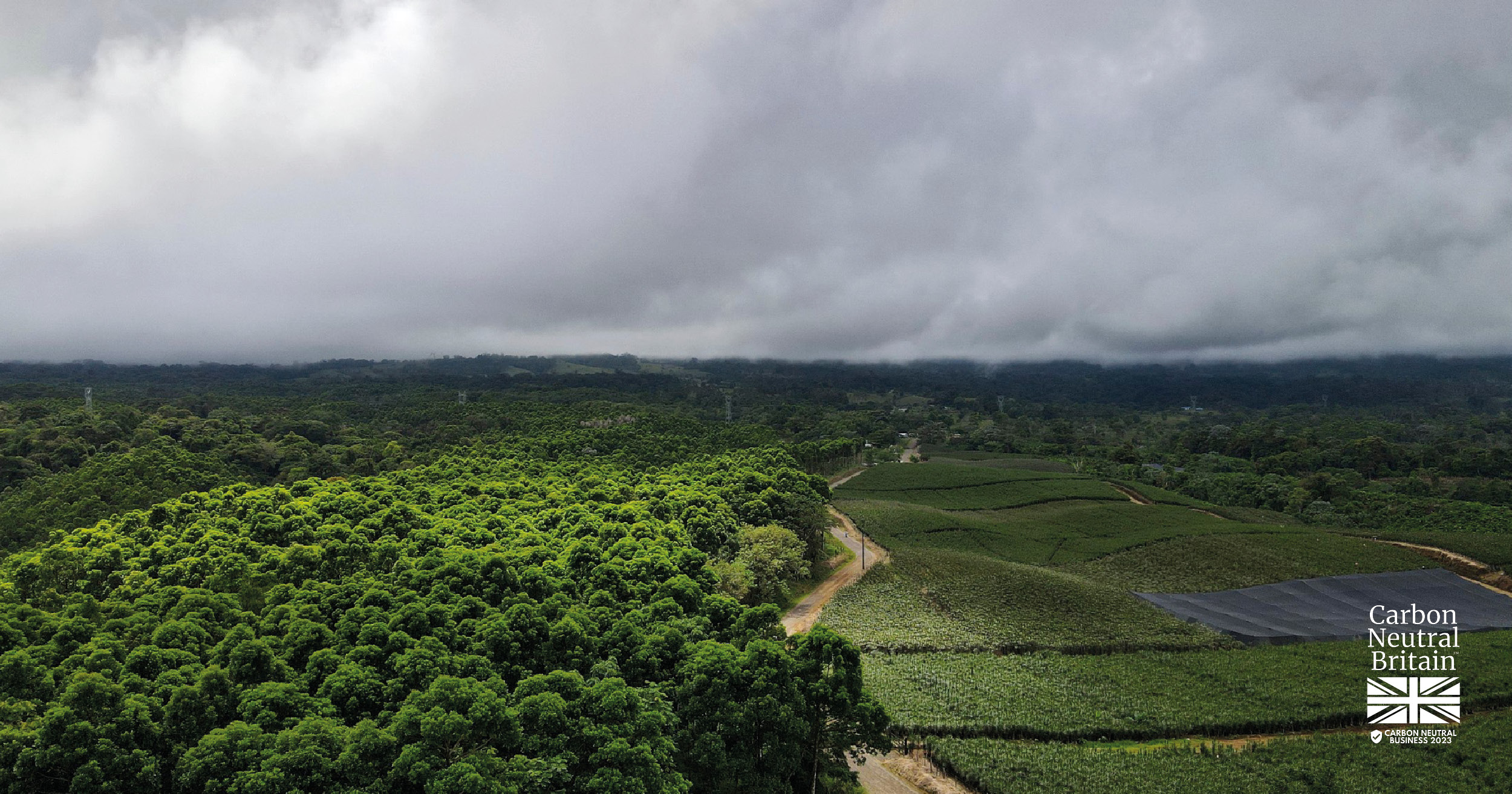 Our Journey to Becoming a Carbon Neutral Company: Interview with Victoria Munro