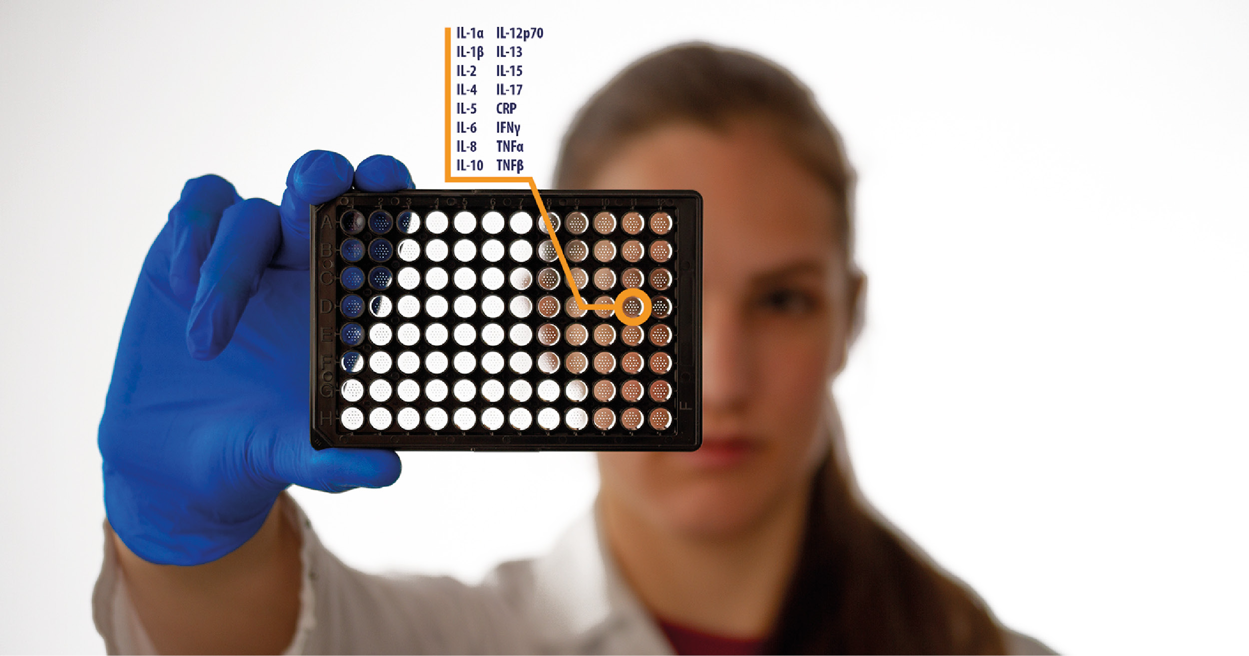 How Multiplex ELISAs Are Transforming Biomarker Research | Q-View™ Imager Loan Programme