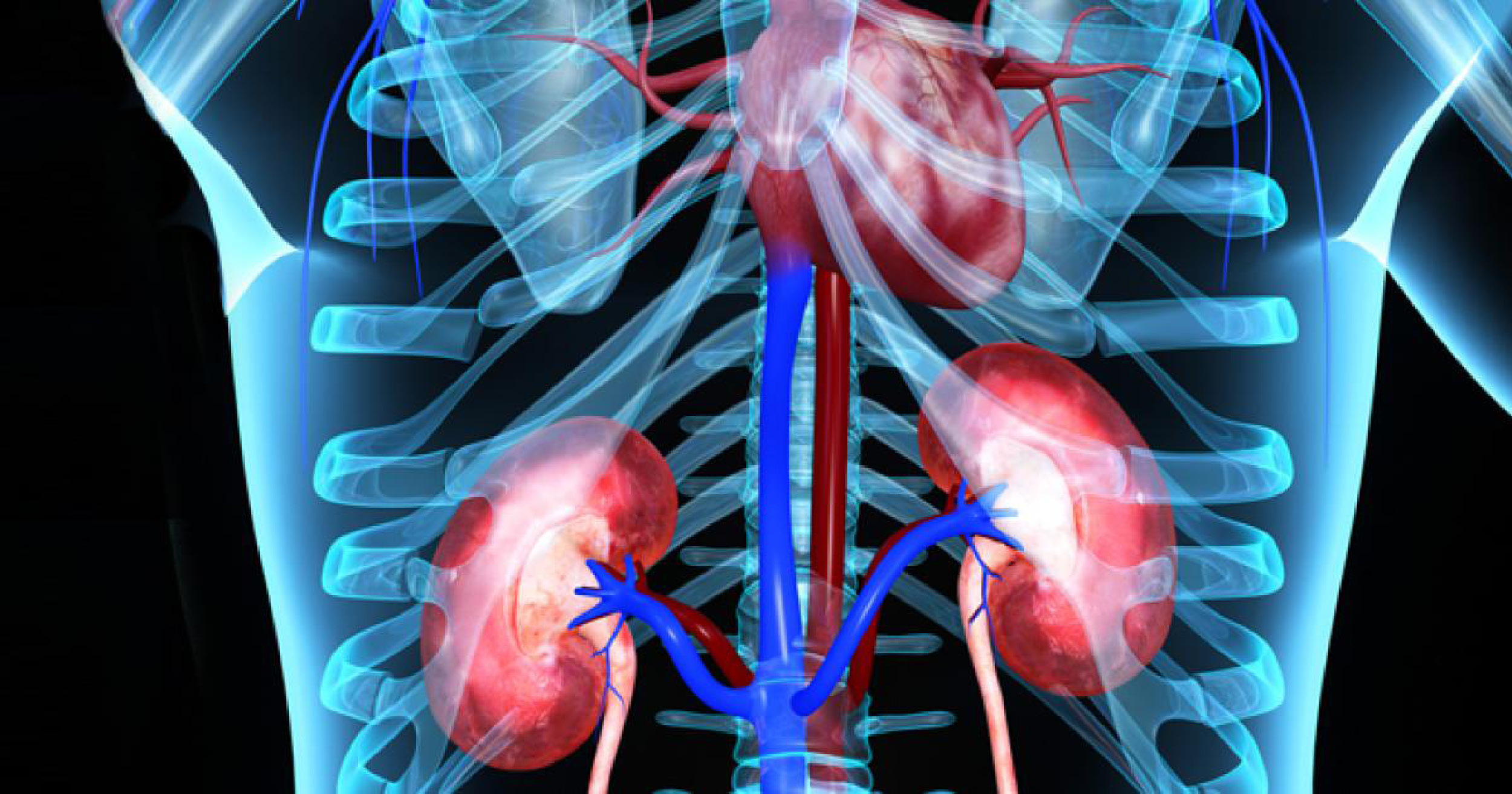 Kidney Biomarkers for CKD and Bone Metabolism Research