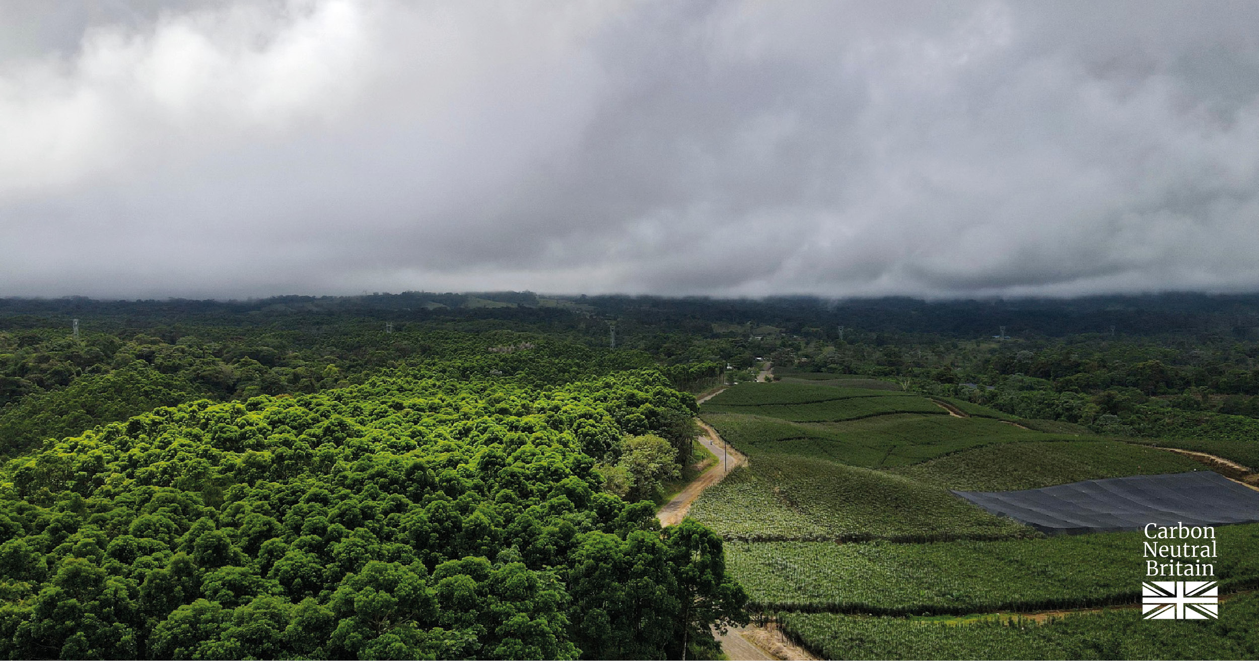 Our Journey to Becoming a Carbon Neutral Company: Interview with Victoria Munro