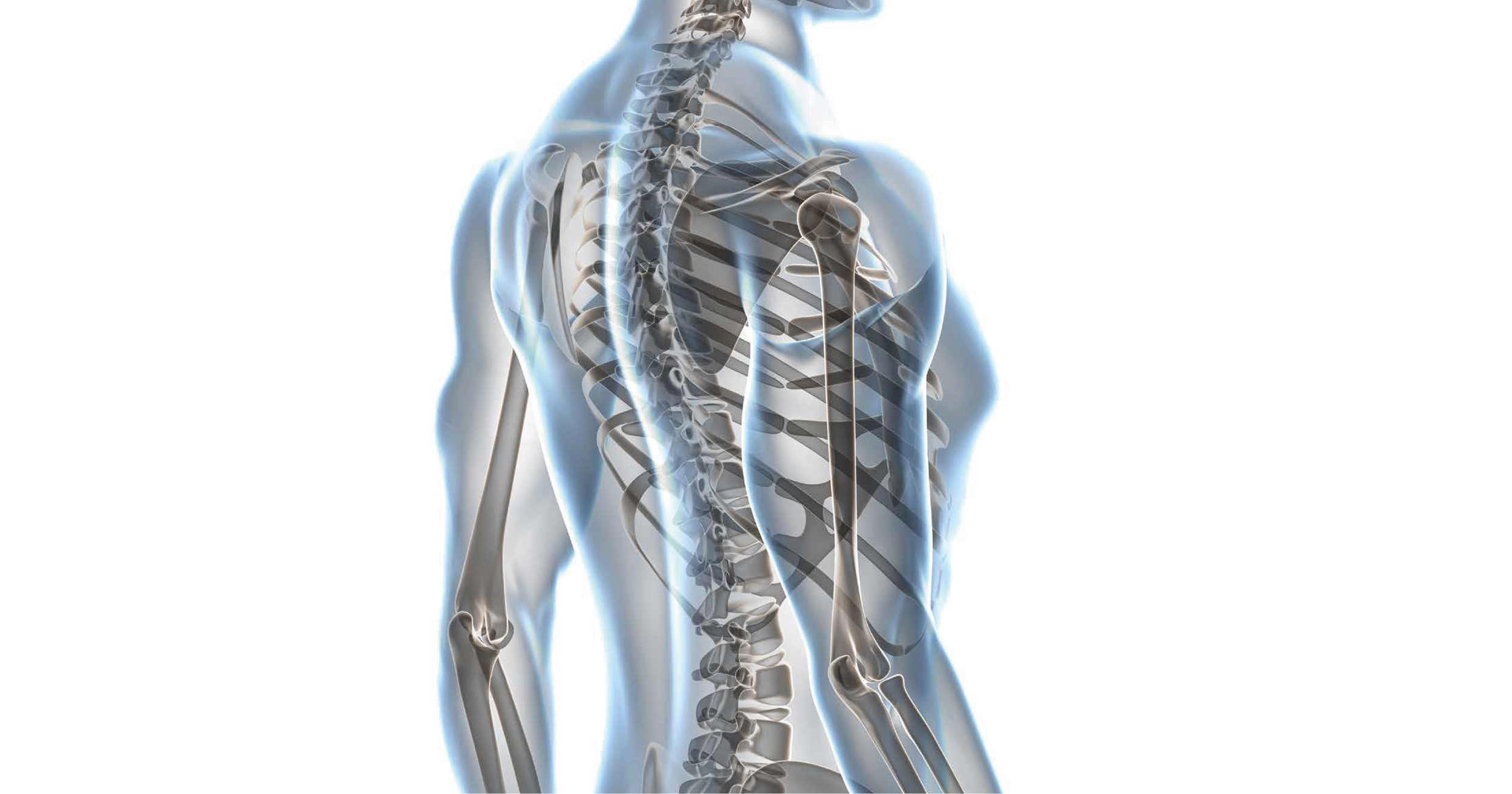 Bone Metabolism Biomarkers for UK & Irish Laboratories | Oxford BioSystems at Mellanby 2026