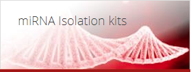 miRNA Isolation kits