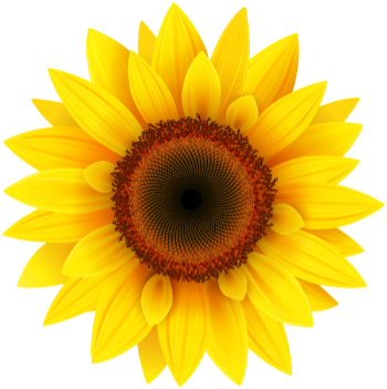 Sunflower - celebrating 20 Years of Oxford BioSystems Ltd. 