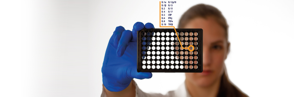 Q-View™ Imager LS Loan Programme