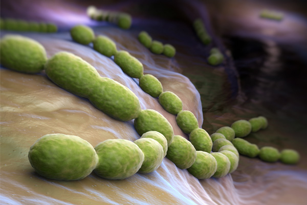 Microbiology: pathogen and resistance identification