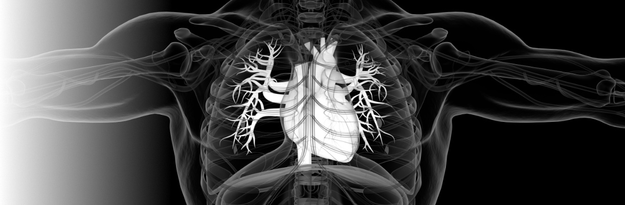 Cardiovascular Disease