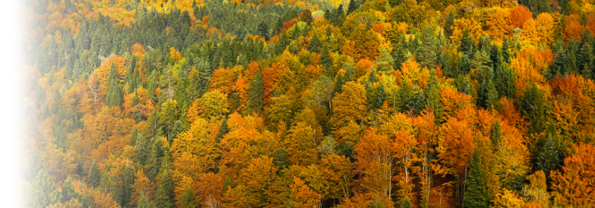 Oxford BioSystems Commitment to Sustainability