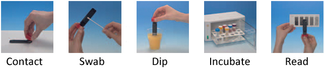 Hygicult dip slide culture test