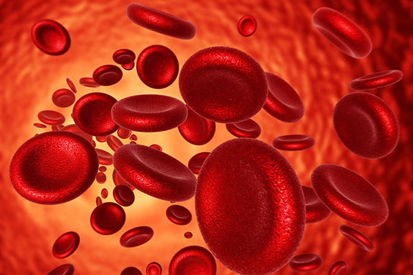 Haematology Applications