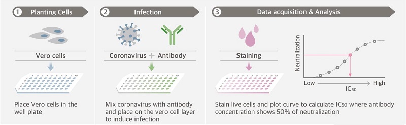 Virus neutralisation test